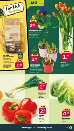 NETTO Prospekt woche 10 Seite 3