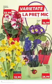 Catalog Kaufland săptămâna 9 Pagină 10