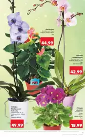 Catalog Kaufland săptămâna 9 Pagină 11