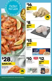 Woolworths catalogue week 9 Page 13