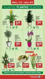 Folleto ALDI semana 10 Página 17