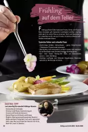 METRO Prospekt Seite 24