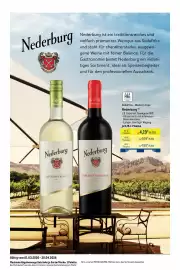 METRO Prospekt Seite 49