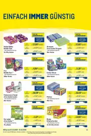 METRO Prospekt Seite 13