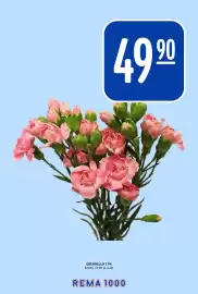 Rema 1000 kundeavis uke 9 Side 17