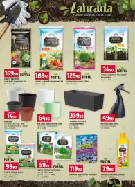 Terno leták týden 9 Strana 16