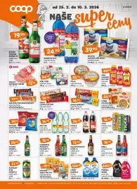 Terno leták týden 9 Strana 17