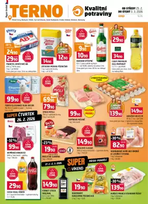 Terno leták (platné do 3-03)