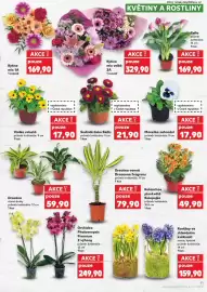 Kaufland leták týden 9 Strana 11