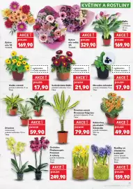 Kaufland leták týden 9 Strana 11