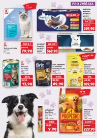 Kaufland leták týden 9 Strana 49