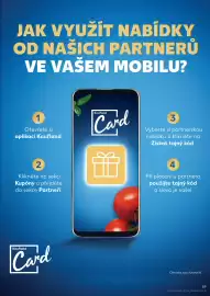 Kaufland leták týden 9 Strana 59