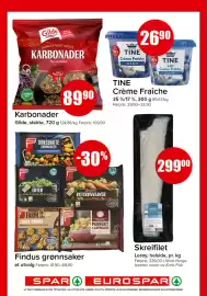 Eurospar kundeavis uke 9 Side 8