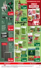 Kaufland Prospekt Seite 43