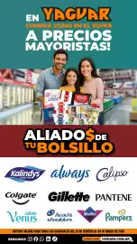 Catálogo Supermercados Yaguar Página 1