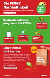 PENNY Flugblatt woche 9 Seite 32