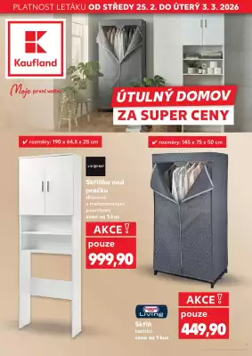 Kaufland leták (platné do 3-03)