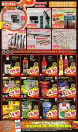 Norma leták týden 10 Strana 8