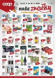 Terno leták Strana 2