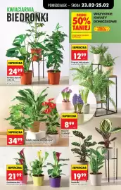 Biedronka gazetka tydzień 9 Strona 25