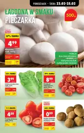 Biedronka gazetka tydzień 9 Strona 27