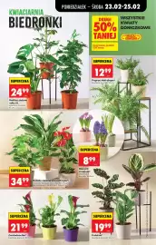 Biedronka gazetka tydzień 9 Strona 29