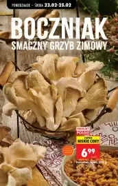 Biedronka gazetka tydzień 9 Strona 78