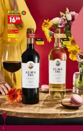 Biedronka gazetka | Alkohole Strona 4