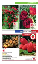 Catalogue Bi1 | Le jardin page 3