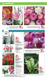 Catalogue Bi1 | Le jardin page 4