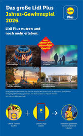 Lidl Flugblatt Seite 2