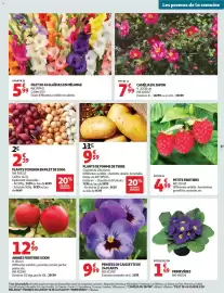 Catalogue Auchan Drive page 37