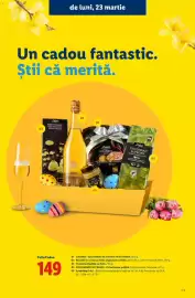 Catalog Lidl Pagină 29