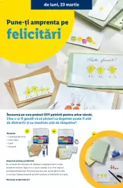 Catalog Lidl Pagină 31