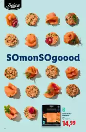 Catalog Lidl Pagină 32