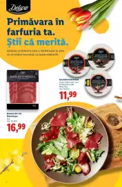 Catalog Lidl Pagină 4