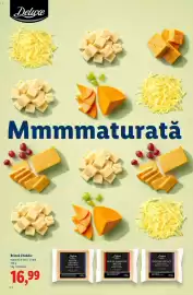 Catalog Lidl Pagină 42