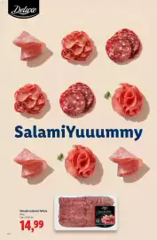 Catalog Lidl Pagină 50