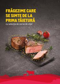 Catalog Metro Pagină 10