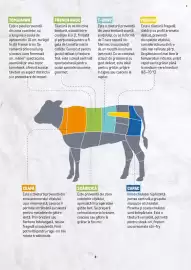 Catalog Metro Pagină 4