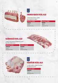 Catalog Metro Pagină 6