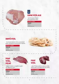 Catalog Metro Pagină 7