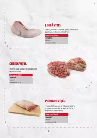 Catalog Metro Pagină 8