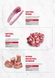 Catalog Metro Pagină 9