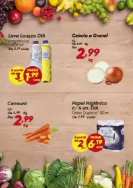 Tabloide Dia Página 2