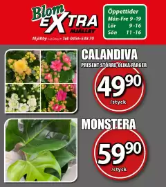 Extra Mjällby Stormarknad reklamblad vecka 9 Sida 13