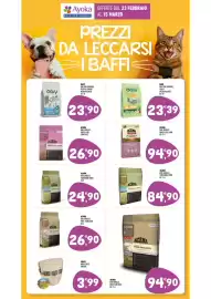 Volantino Ayoka Pagina 12