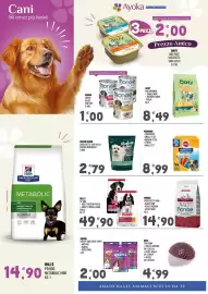 Volantino Ayoka Pagina 4