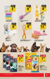 Arhelan gazetka Strona 19