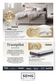 Seng reklamblad Sida 10